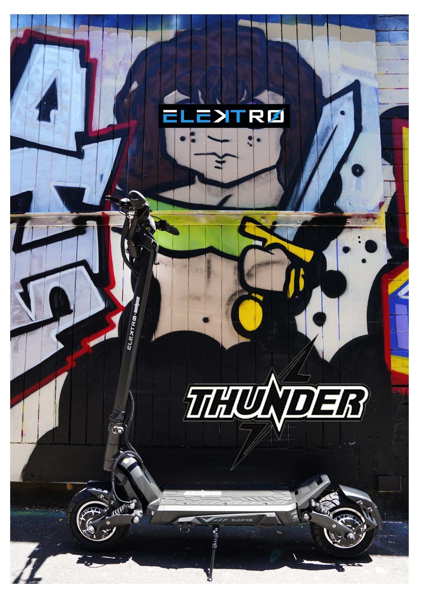 Elektro Thunder - 52V24Ah