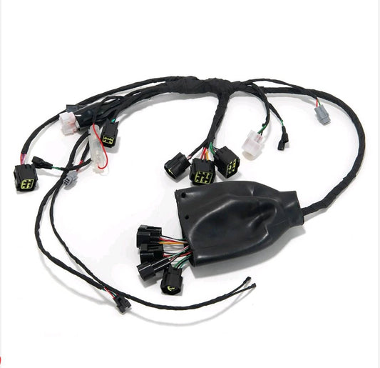 Main Wiring Harness For Light Bee - Surron