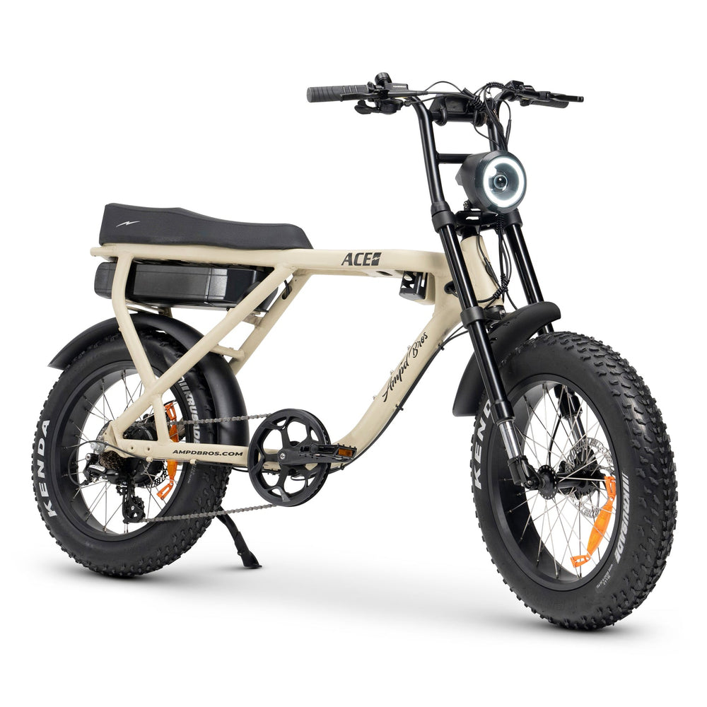 ACE-X Plus+ Electric Bike