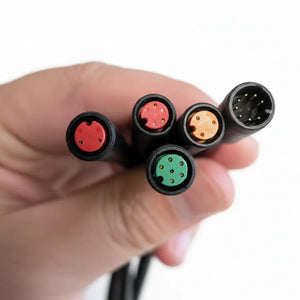 Elektro Flash S Electrical Main Harness