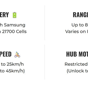 ACE Rally Plus+ Edition Electric Bike