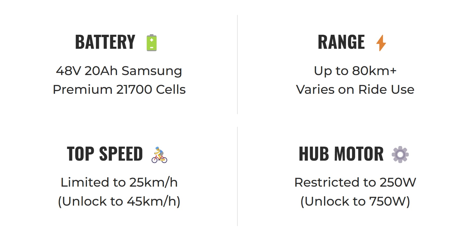 ACE Rally Plus+ Edition Electric Bike