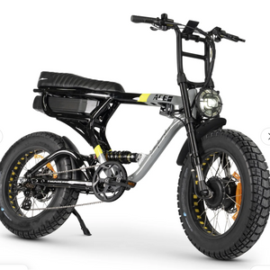 ACE-X Demon Dual Motor Electric Bike