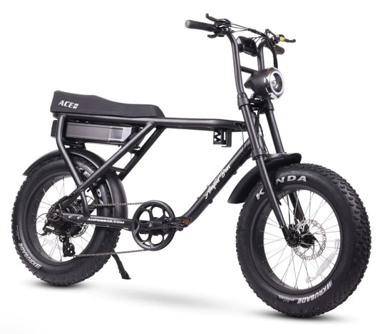 ACE-X BIKE Electric Bike