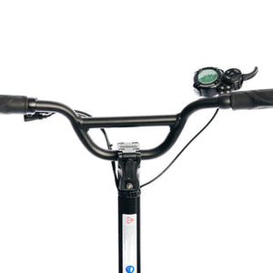 Dualtron Mini