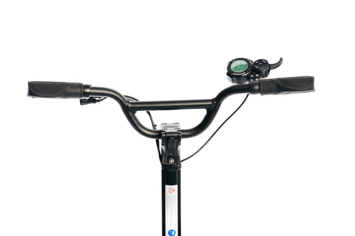 Dualtron Mini