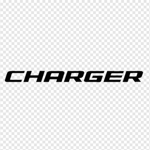 60v / 10a Regular Charger - Surron